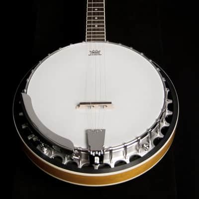 Washburn B9 Series 5-String Banjo image 6