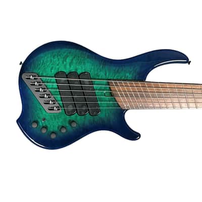 Dingwall Combustion 6 (3 Pickup), Whalepool / Pau Ferro *On Order, ETA April 2026 image 1