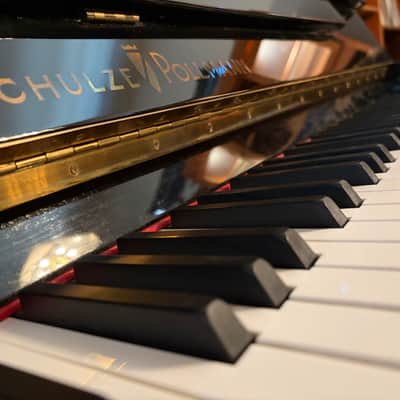 Schulze Pollmann 126/P6 Classico 2005 - Ebony w/ Mahogany image 2