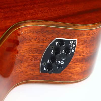 Schertler SM Acoustic Guitar – A Rare Gem in Electro-Acoustic Innovation - check video! image 12