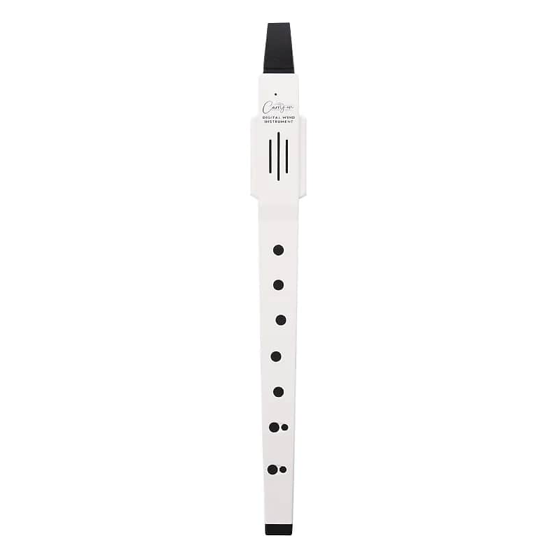 Carry-on Digital Wind Instrument image 1