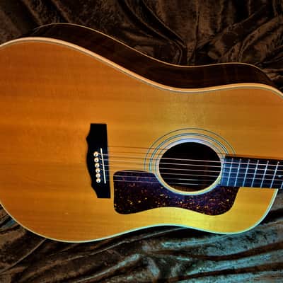 Guild D50 Rosewood Dreadnought Westerly Hard to Find Early 90s Model Figured Sides D-50 Acoustic image 8