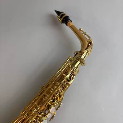 Yanagisawa A-WO2 image 2