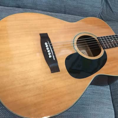 1973 El Degas F170 000-sized guitar, ready to go, video! image 2
