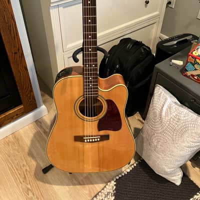 IBANEZ AW10 acoustic guitars