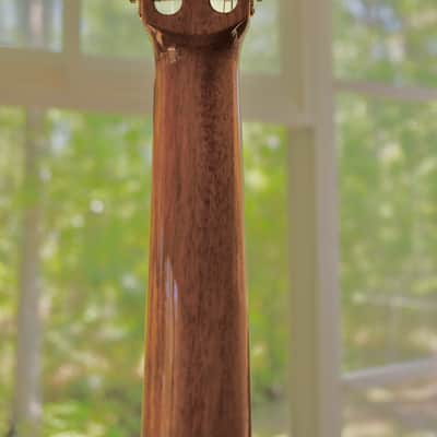 Cordoba C12 650mm Classical Guitar C12 SP/IN  Spruce/Indian Rosewood image 21