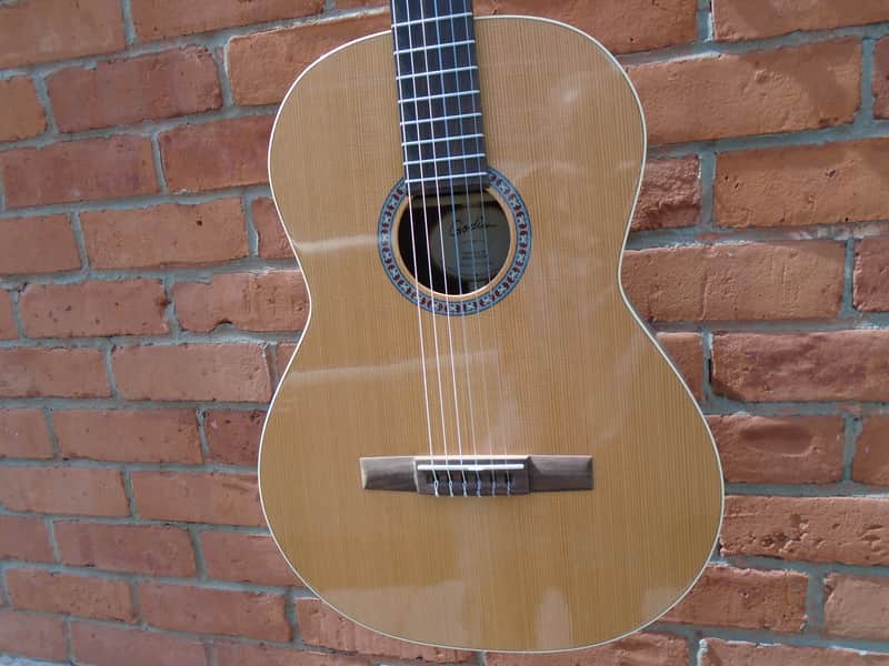 Godin Collection Nylon SF Guitar w/hard case image 1