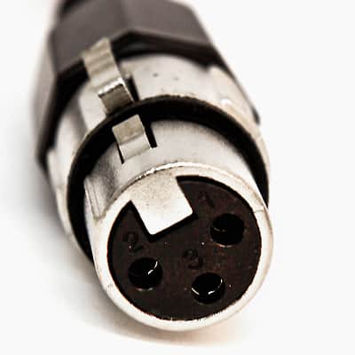 8 Channel 10' XLR Female to 1/4" TRS Audio Snake Cable image 6