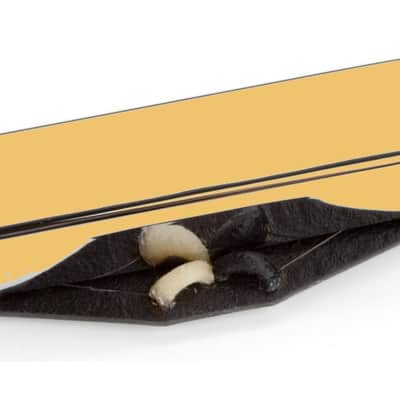 Seymour Duncan Alnico II Pro Tele Neck Pickup APTR-1 GOLD Cover image 1