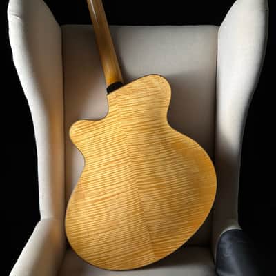 Eastman PG2 Pagelli Archtop 17" image 2