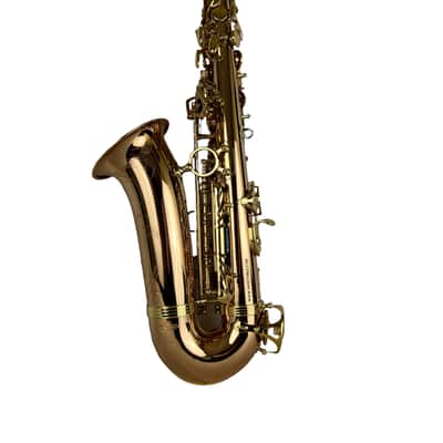 Yanagisawa AWO20UL Unlacquered Bronze Elite Alto Saxophone New In Box! image 14