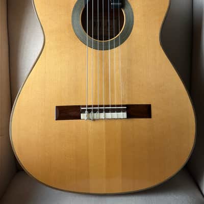 Kenny Hill 7 String Classical Cutaway Crossover Seven String image 3