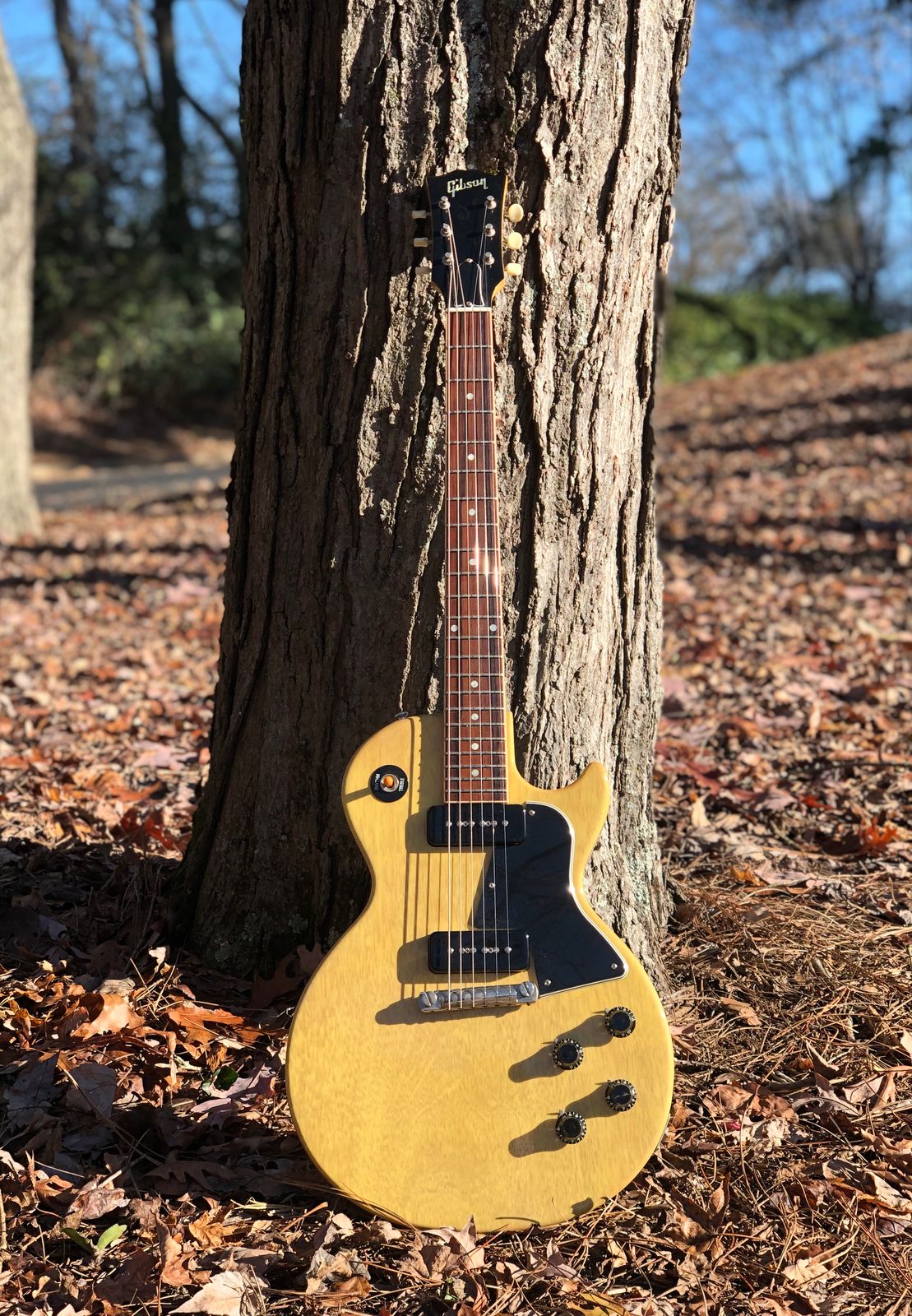 ギター Gibson CS HC 60 Les Paul Special Aged xlvcdihknr0joxvqirsy.jpg