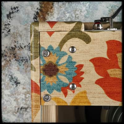 Benson Vinny Reverb Combo - Desert Gertie image 12