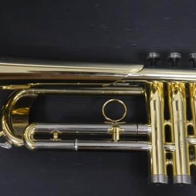 Courtois Evolution III - Lacado image 2