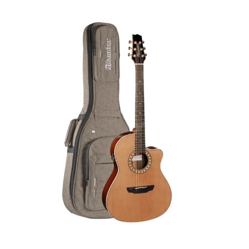 Alhambra CSs-3 CW E9 2024 Crossover Black Label Solid Cedar Top Sipo Neck Truss Rod 6-String Classical Acoustic-Electric Guitar w/Padded Gig Bag image 1