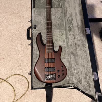 ESP LTD D-5 2010s - Natural Satin with Mahogany/Maple Neck image 5