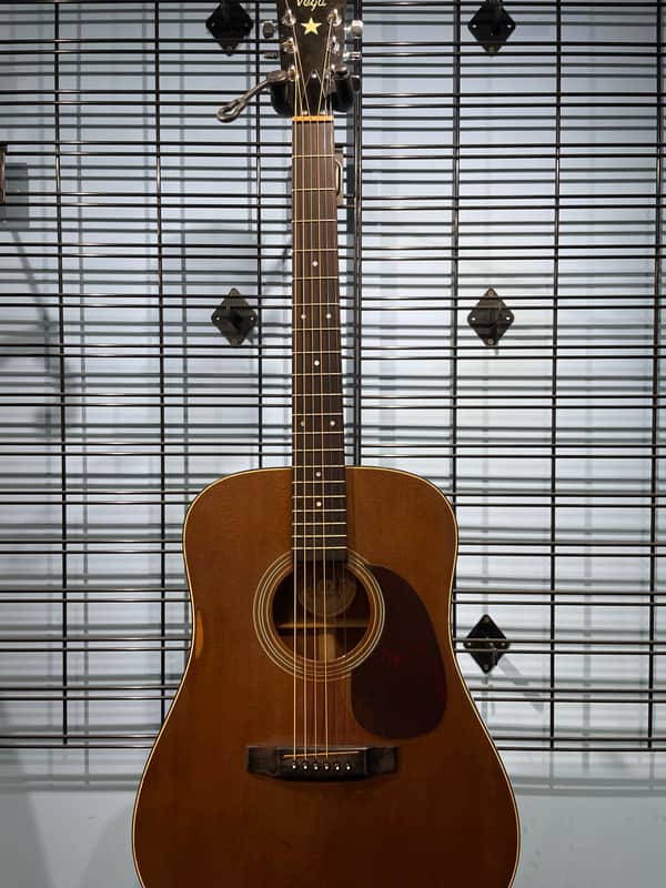 Vintage Vega V-244 Acoustic Mid-70's image 1