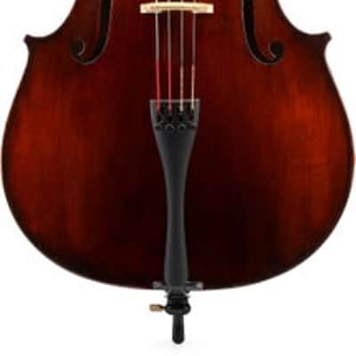 Eastman VC305M Andreas Eastman Montagnana Intermediate Cello - 4/4 Size image 2