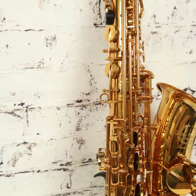 Gary Sugal Custom Series III Alto Saxophone w/Case *MINT / RARE!!!* image 6
