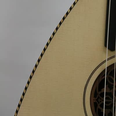Oud (Persian Barbat) 2016 - French Polish image 14