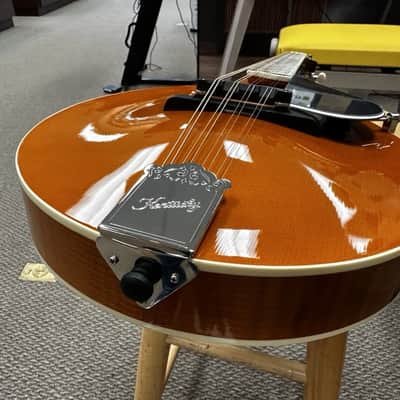 Kentucky KM-272 Deluxe Oval Hole A-Style Mandolin Transparent Amber w/ Case image 15