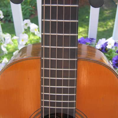 John C. Haynes Bay State Brazilian Rosewood Guitar image 10