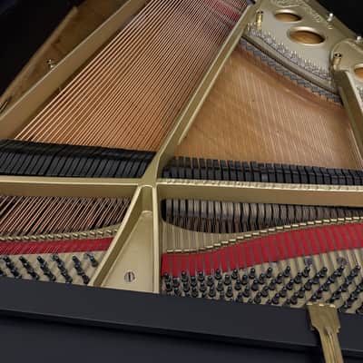 Steinway & Sons Model A 1917 Grand Piano – 6'2" – Professionally Restored – Satin Ebony image 10