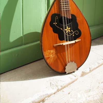 Amada Bowl Back Vintage Mandolin |  1950 image 6