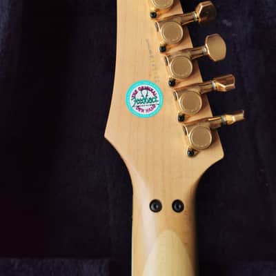 1991 Ibanez RG Custom 70th Anniversary for Serlui Made in Japan image 12