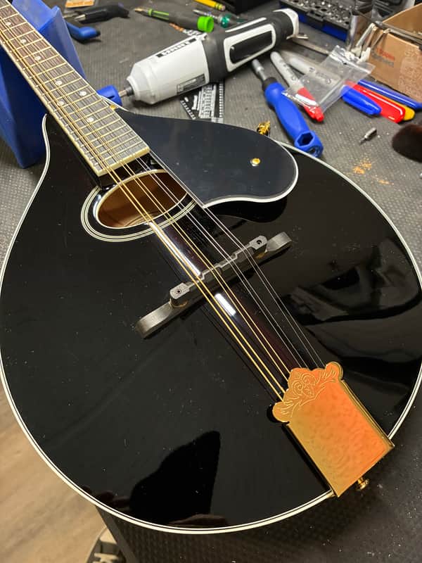 Washburn M1SDLB Bluegrass Series image 1