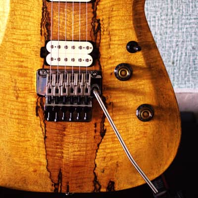 Bakat/Bhakatt Guitar Double Cut 2026 - Satin Polyurethane and oil image 1