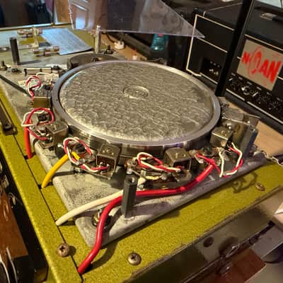 Binson Echorec Mod B1S Magnetic Drum Echo - Worldwide Shipping image 13
