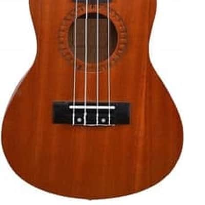 Concert Ukulele 23 Inch – Brown, Strings, Matte Finish with Strap & Bag image 3