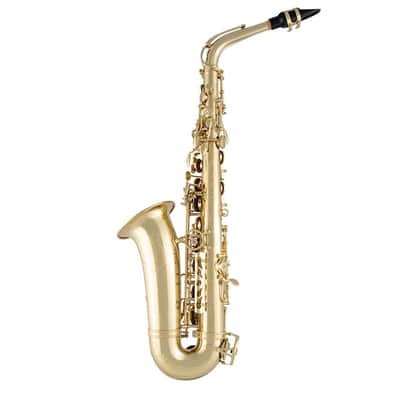 Selmer SAS711 Professional Eb Alto Saxophone - Brass Lacquer image 3