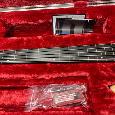 Ibanez GWB1005-NTF Gary Willis Signature Soundgear Fretless 2006 - Present - Natural Flat image 18