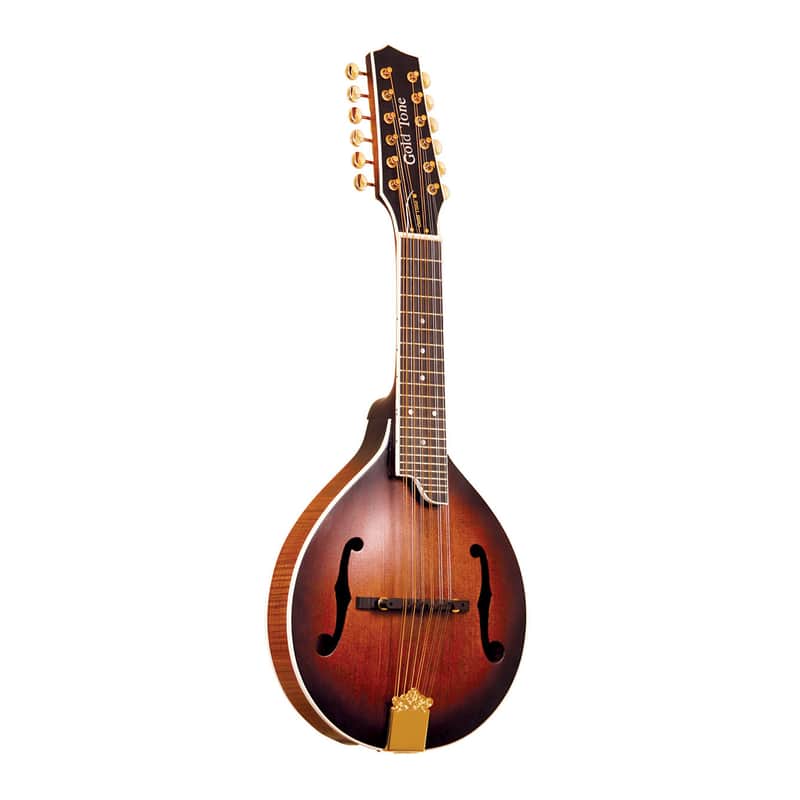 Gold Tone GM-12+ Manditar image 1