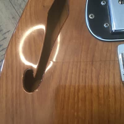 Fender Telecaster Thinline 1973 - 1978 - Walnut (Mocha) image 13
