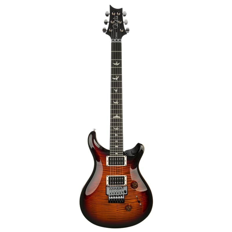 PRS Custom 24 Floyd 10-Top image 1