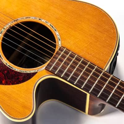 Takamine Acoustic EAN45C Owned by Nils Lofgren image 8