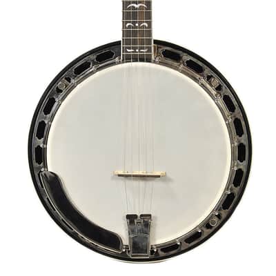Recording King RK-R35 Madison 5-String Resonator Banjo | Reverb