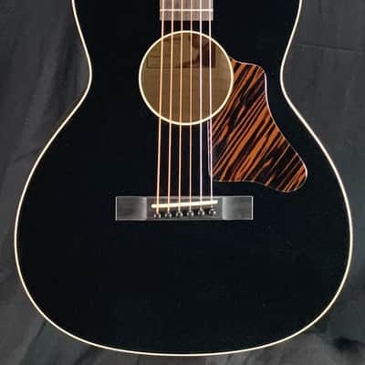 Waterloo WL-12 X Bracing Jet Black Top Truss Rod w/case image 2