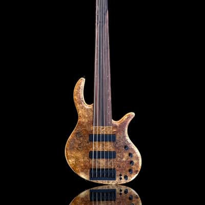 Elrick EVO Gold 5 String Spalted Maple Burl 2025 - Natural image 1