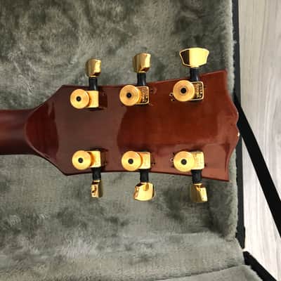 Aria Pro II  Custom Single Cut 1974 Dark cherry brown image 3