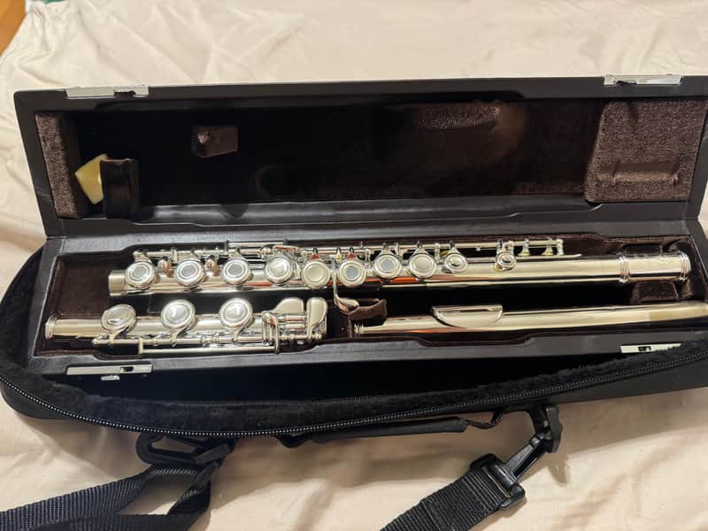 Di Zhao DZ-300 Flute image 1