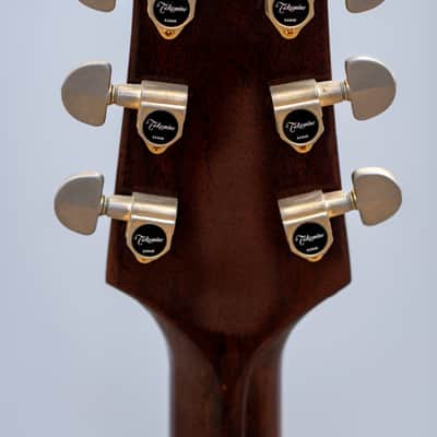 Vintage 1979 Takamine PTS-015 Acoustic-Electric Archtop – Made in Japan – Original Case image 4