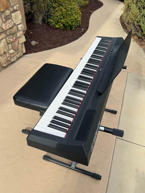Yamaha P-115B Digital Piano 2010s - Black image 1