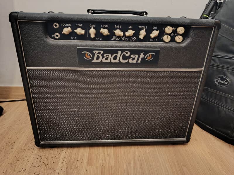 Bad Cat Hot Cat 30 Handwired combo 2013 - Black image 1