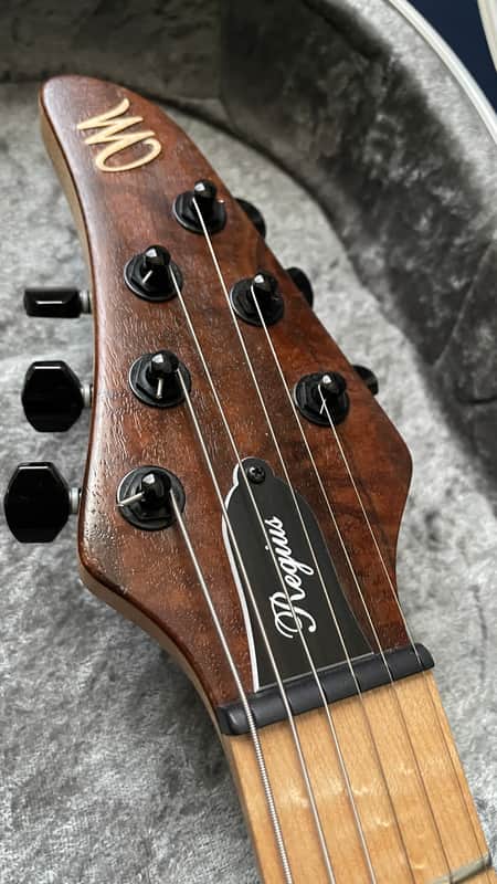 Mayones Regius 6 MM 2015 Misha Mansoor Sig | Reverb Australia