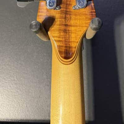 Alembic Exploiter fretless Koa image 4